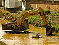 Excavadora trabajando en el Río Curanilahue
