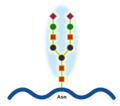 Glicoprotein