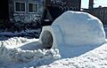 Igloo-montreal
