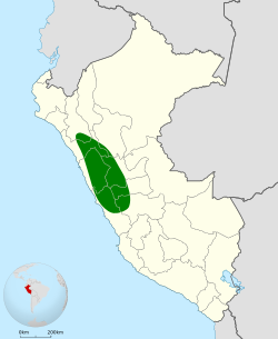 Distribución geográfica del incaspiza dorsirrufo.