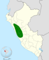 Incaspiza personata map
