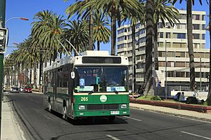 Archivo:J28 190 Avenida Brazil, Wagen 265