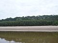 Manu River 2012-3