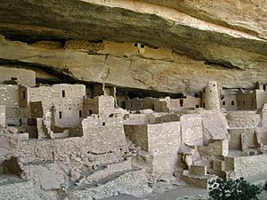 Archivo:Mesa verde cliff palace close