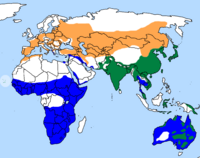 Verde: residente todo el añoNaranja: área de cría Azul: área de invernada