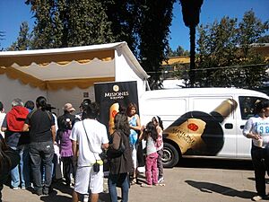 Archivo:MisionesRengo Vendimia 2011