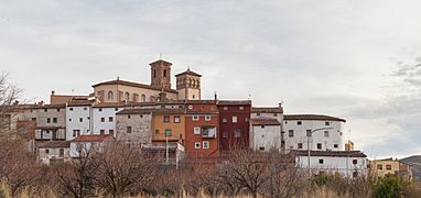 Montón, Zaragoza, España, 2014-01-08, DD 10