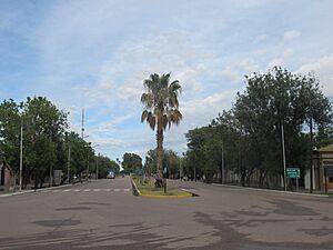 Archivo:Monte Comán, Mendoza 16
