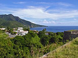 Monts Caraïbes depuis le Fort Louis Delgrès à Basse-Terre.jpg