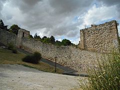Muralla de Burgos - Subida de San Esteban (5)