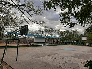 Archivo:NUFED No.4