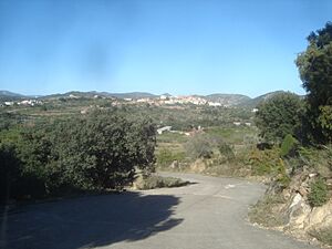Archivo:Panorámica de La Torre d'en Besora