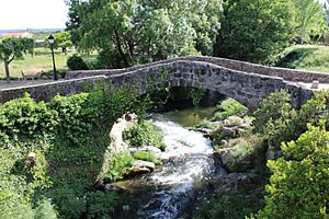 Archivo:Puente viejo de Lanzahíta 002