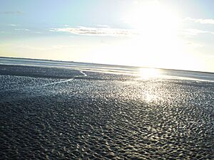 Archivo:Punta Raza 2 - San Clemente del Tuyu