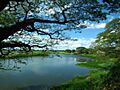 Río Portuguesa