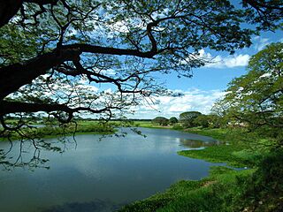 Río Portuguesa.jpg