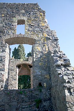 Archivo:Ruinas del Convento San Francisco Javier