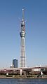 Tokyo Sky Tree 04-04-11