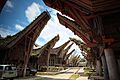 Tongkonan Toraja