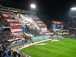Archivo:Torcida do Atlético de Madrid (402234679)
