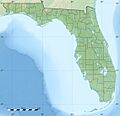USA Florida relief location map