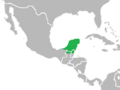 UbicacionDelPavoOcelado