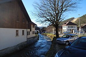 Archivo:Vermes rivereto Gabiare 258