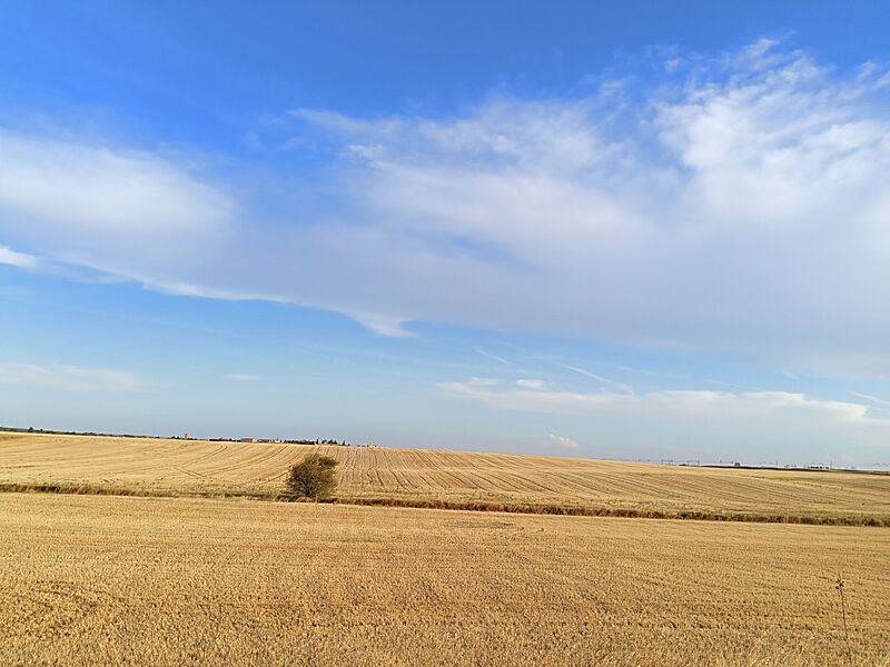 VistaBodegasPozuelosRey