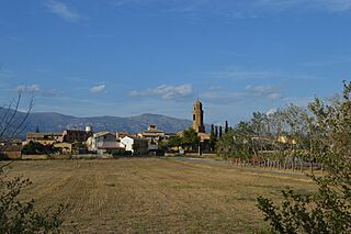 Vista general de Arbaniés.jpg
