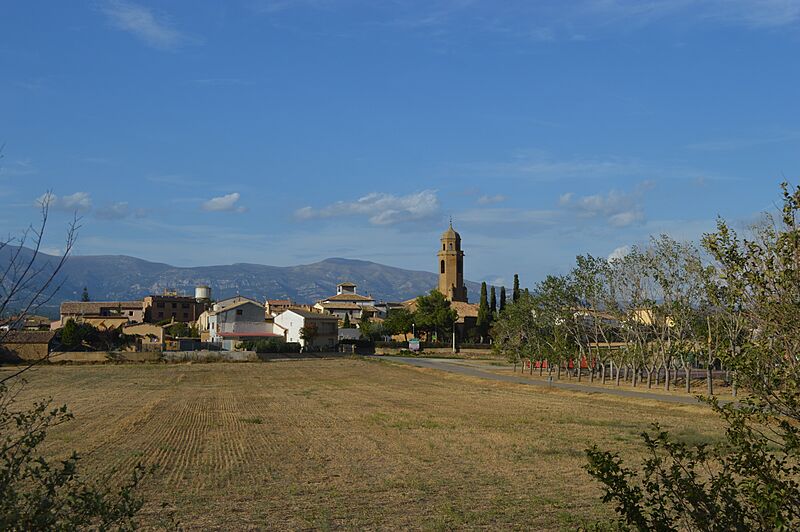 Vista general de Arbaniés