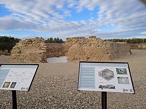 Archivo:Yacimiento arqueológico de la Torre de Bogarra