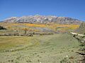 Anthracite Range, West Elk Mountains, Gunnison County, Colorado, USA 02