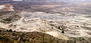 Archivo:Bateig Cantera