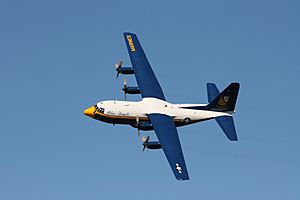 Archivo:Blue Angels NAS Jacksonville Air Show 2452