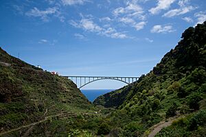 Archivo:Brücke von Los Tilos