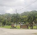 Calabazas, Yabucoa, Puerto Rico