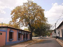 Casa de la cultura de Guanape