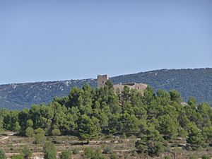 Archivo:Castell de Barxell (Alcoi) - Vista general - 3