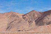 Cerros Pintados, Pampa del Tamarugal, Chile, 2016-02-11, DD 113