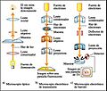 Comparación de microscopios
