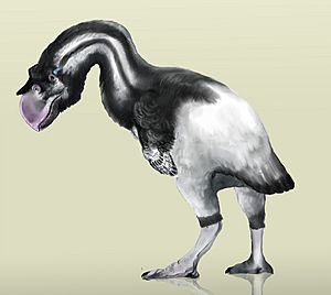 Archivo:Dromornis stirtoni