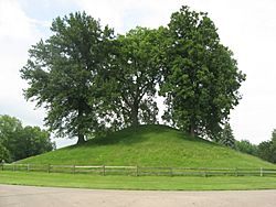 Enon Mound in June.jpg