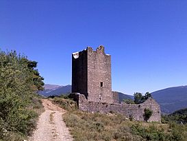 Fotografia del lateral esquerra de la Torraza de Escuer des del camí d'accès - Aug 2010.jpg