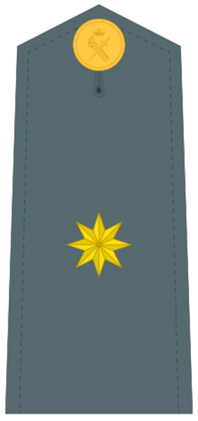 Guardiacivildivi40