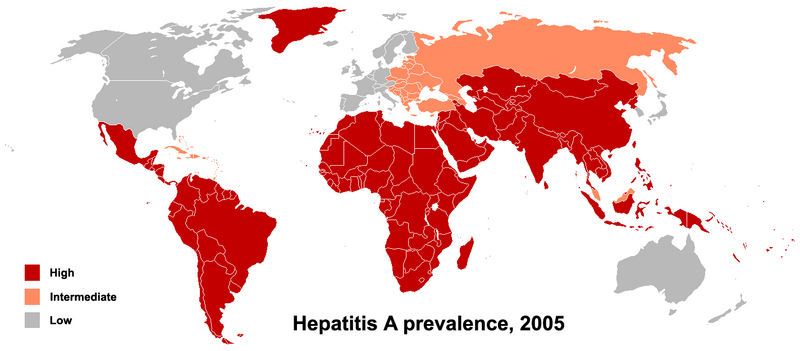 HAV prevalence 2005