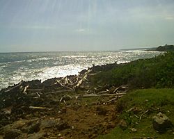 Haina Shoreline - panoramio.jpg