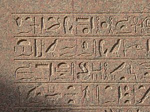 Archivo:Hieroglyphe karnak