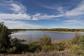 Laguna de El Portil - 02.jpg
