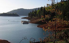 Lake shasta.triddle