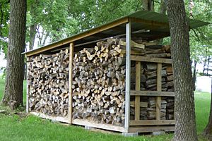 Archivo:Large wood shed